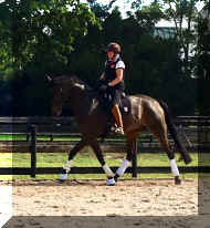 Pic3751.jpg (933653 bytes)