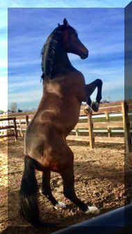 Pic4384.jpg (642115 bytes)