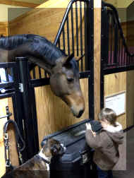 screenshot_586.jpeg (269140 bytes)