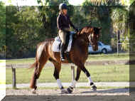 IMG_0488.PNG.jpg (361577 bytes)