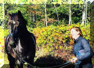 Pic5722.jpeg (874742 bytes)