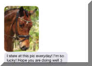 photo.PNG (71804 bytes)