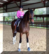 IMG_2604.jpeg (346087 bytes)