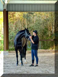 Zr7s.jpeg (533852 bytes)