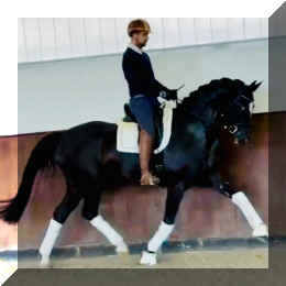 Fuerst Brentano HW trot1 new.jpeg (95659 bytes)