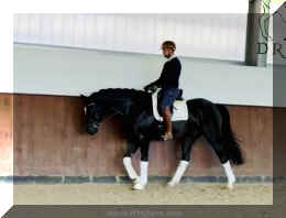 Fuerst Brentano HW walk 1 new.jpeg (114960 bytes)