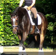 image1.JPG (607627 bytes)