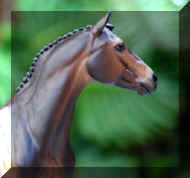 IMG_1932.jpeg (13439 bytes)