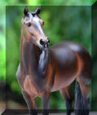 IMG_1933.jpeg (15789 bytes)