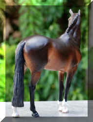 IMG_1936.jpeg (21629 bytes)