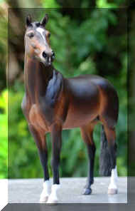 IMG_1939.jpeg (18212 bytes)