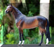 IMG_1946.jpeg (20368 bytes)