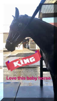 IMG_1450.jpg (110264 bytes)