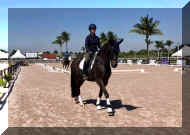 Pic6480.jpg (422891 bytes)