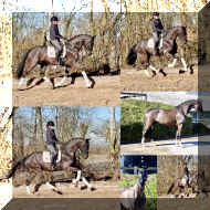 John Jameson HW collage _10.jpeg (569080 bytes)