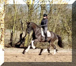 John Jameson HW canter1.jpeg (518840 bytes)