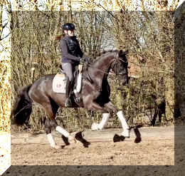 John Jameson HW canter5.jpeg (485270 bytes)