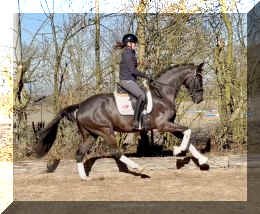 John Jameson HW canter7.jpeg (757841 bytes)