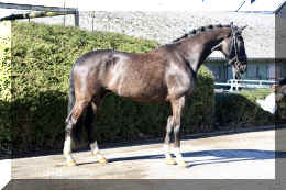 John Jameson HW stand1.jpeg (4567362 bytes)