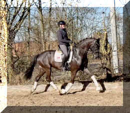 John Jameson HW trot2.jpeg (1036882 bytes)