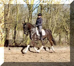 John Jameson HW trot5.jpeg (583302 bytes)