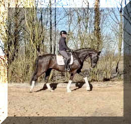 John Jameson HW walk1.jpeg (337838 bytes)