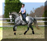 boghicanter.jpg (66376 bytes)