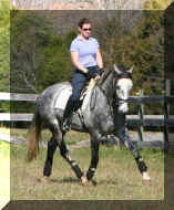 boghitrot.JPG (75632 bytes)