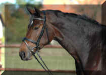 LAra-2.jpg (1018467 bytes)