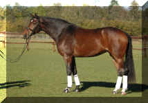 LAra-3.jpg (886560 bytes)