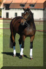 Lara-1.jpg (876132 bytes)