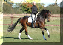 Lara-Galopp.jpg (1114543 bytes)