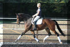 Lara Trab.jpg (182775 bytes)