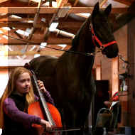 IMG_5680.JPG (124190 bytes)