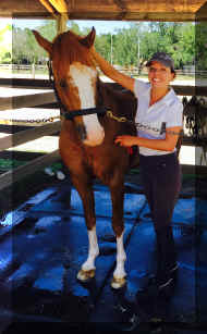 FullSizeRender-1.jpg (367087 bytes)