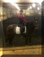 Pic4335.jpg (166655 bytes)