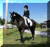 RaminaHWViv.JPG (328224 bytes)