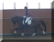 Rubi Galopp-1.jpg (18862 bytes)