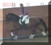 Rubi Galopp-3.jpg (32800 bytes)