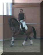 Rubi Galopp-4.jpg (20385 bytes)