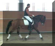 Rubi Trab-6.jpg (14739 bytes)