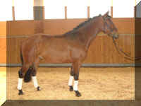 schna1.jpg (131900 bytes)