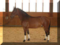 schna4.jpg (78161 bytes)