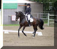 IMG_0697.jpg (208191 bytes)