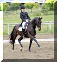 IMG_0698.jpg (346715 bytes)