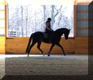 Pic4293.jpg (227711 bytes)