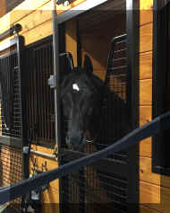 Pic3188.jpg (292206 bytes)