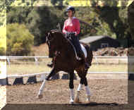 Pic3744.jpg (451524 bytes)