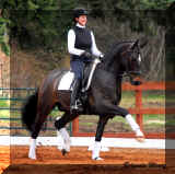 _DSC103511368.JPG (503064 bytes)