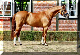 Sky HW stand 3.jpeg (1380233 bytes)